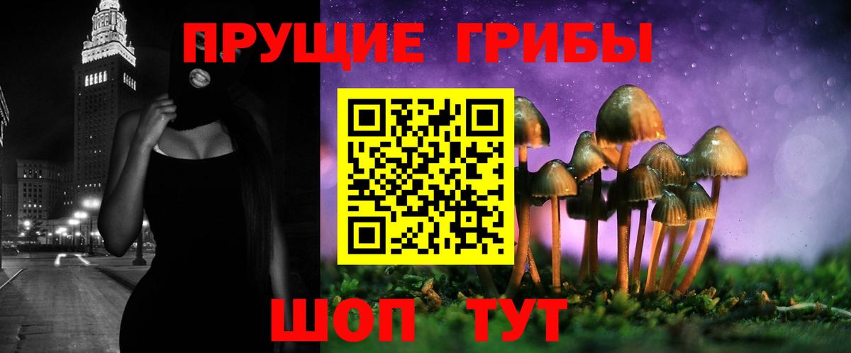 Псилоцибиновые грибы мицелий  Вход с VPN  Псилоцибиновые грибы MAGIC MUSHROOMS  Свободный 
